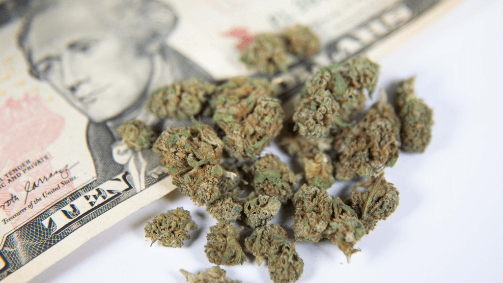 Statewide benefits that marijuana taxes will be used for?