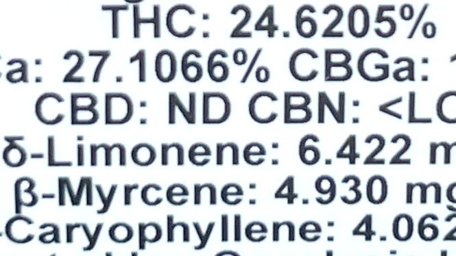 Bringing to light the Mystery of Terpenes: A Beginner’s Guide to Cannabis Variety
